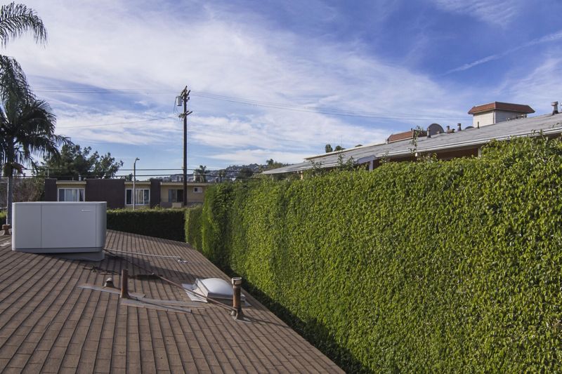 Exterior roof hedges